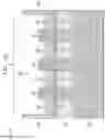 Fig. 14 - Controlling active fin height of FinFET device