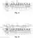 Fig. 07 - Dishing prevention columns for bipolar junction transistors