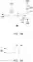 Fig. 10 - Pixel structure