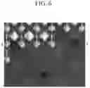 Fig. 07 - Display device