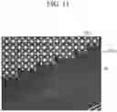 Fig. 12 - Display device