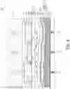 Fig. 09 - LIGHT-EMITTING DEVICE AND ELECTRONIC APPARATUS