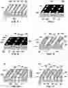 Fig. 03 - Semiconductor devices comprising channel materials