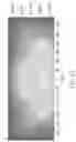 Fig. 24 - Hybrid lens for controlled light distribution