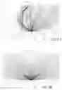 Fig. 35 - Hybrid lens for controlled light distribution