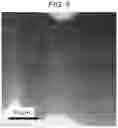 Fig. 05 - THERMOELECTRIC CONVERSION MATERIAL, THERMOELECTRIC CONVERSION MODULE, AND PRODUCTION METHOD OF THERMOELECTRIC CONVERSION MATERIAL