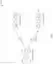Fig. 02 - Ladder tetrazine polymers