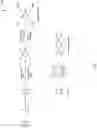 Fig. 04 - Ladder tetrazine polymers