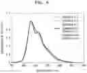 Fig. 08 - Organic light-emitting device
