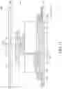 Fig. 12 - Stretchable display device