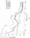 Fig. 07 - Visually undistorted thin film electronic devices