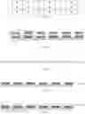 Fig. 02 - QUANTUM DOT LIGHT-EMITTING DIODE SUBSTRATE HAVING A BONDING LAYER, AND METHOD OF PREPARING THE SAME