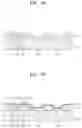 Fig. 08 - Organic light-emitting display apparatus and method of manufacturing the same