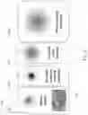 Fig. 02 - Structured composite materials