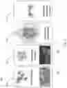 Fig. 03 - Structured composite materials