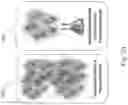 Fig. 04 - Structured composite materials