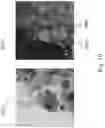Fig. 13 - Structured composite materials