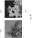 Fig. 15 - Structured composite materials