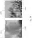 Fig. 16 - Structured composite materials