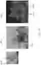 Fig. 17 - Structured composite materials