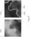 Fig. 18 - Structured composite materials