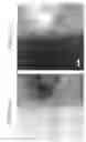 Fig. 12 - POSITIVE ELECTRODE ACTIVE MATERIAL CONTAINING SOLID SOLUTION ACTIVE MATERIAL, POSITIVE ELECTRODE CONTAINING THE POSITIVE ELECTRODE ACTIVE MATERIAL, AND NON-AQUEOUS ELECTROLYTE SECONDARY BATTERY USING THE POSITIVE ELECTRODE