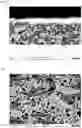 Fig. 02 - Silicon particles for anode materials of lithium ion batteries