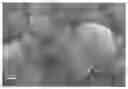 Fig. 01 - POSITIVE ACTIVE MATERIAL, POSITIVE ELECTRODE PLATE AND LITHIUM-ION SECONDARY BATTERY