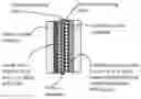 Fig. 01 - Lithium-sulfur battery containing an electrode-protecting layer