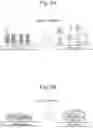 Fig. 07 - Method for manufacturing fuel cell and fuel cell