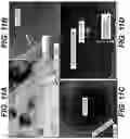 Fig. 12 - Metal sulfide composite materials for batteries