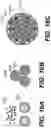Fig. 17 - Metal sulfide composite materials for batteries