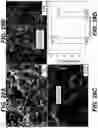 Fig. 30 - Metal sulfide composite materials for batteries