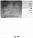 Fig. 24 - SOLID OXYGEN-REDOX NANOCOMPOSITE MATERIALS