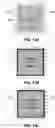 Fig. 14 - Integrated circuit package including miniature antenna