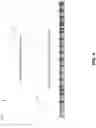 Fig. 05 - Differential-mode aperture-coupled patch antenna
