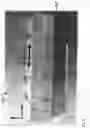 Fig. 10 - COMBINED TEM-HORN ANTENNA