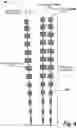 Fig. 05 - Planar antenna structure with reduced coupling between antenna arrays