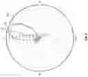 Fig. 04 - Configurable wide scan angle array