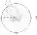 Fig. 05 - Configurable wide scan angle array