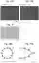 Fig. 10 - Photonic crystal laser