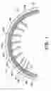 Fig. 02 - Distributed stator winding
