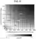 Fig. 06 - Acoustic wave element