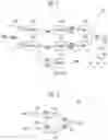 Fig. 04 - Data output buffer
