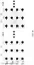Fig. 09 - Convolutional code decoder and convolutional code decoding method