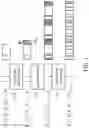 Fig. 02 - Convolutional code decoder and convolutional code decoding method