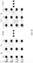 Fig. 09 - Convolutional code decoder and convolutional code decoding method