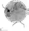 Fig. 51 - Ground network for end-to-end beamforming