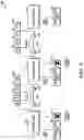 Fig. 08 - Fast EDFA gain spectrum characterization using weak probe and fourier sampling