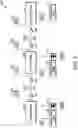 Fig. 10 - Fast EDFA gain spectrum characterization using weak probe and fourier sampling